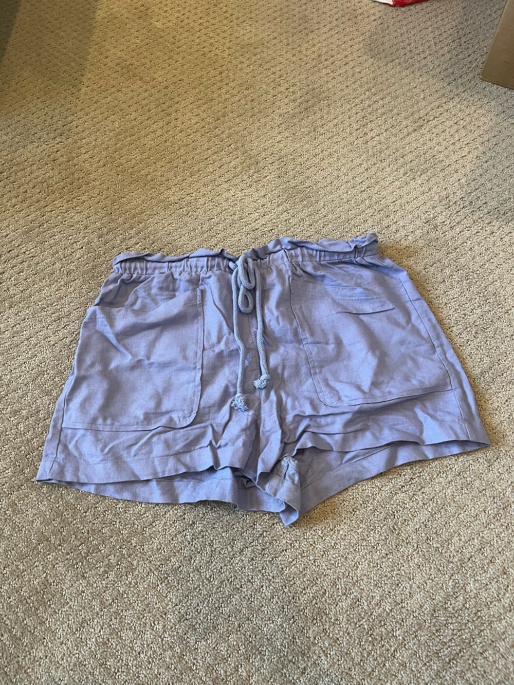 Universal Thread Periwinkle Shorts